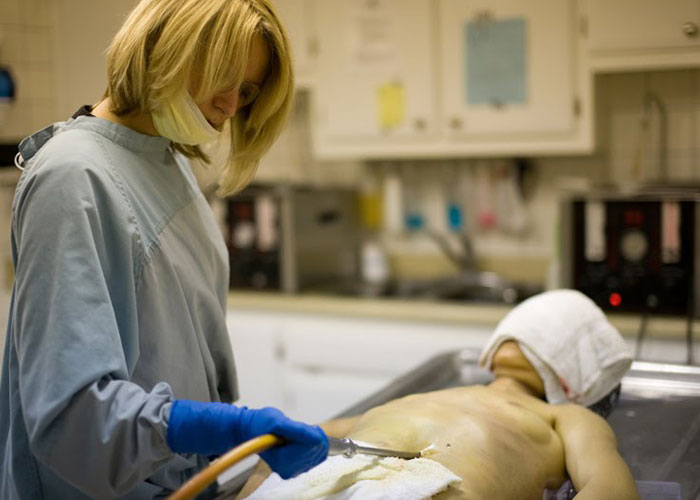Embalming providers in bangalore